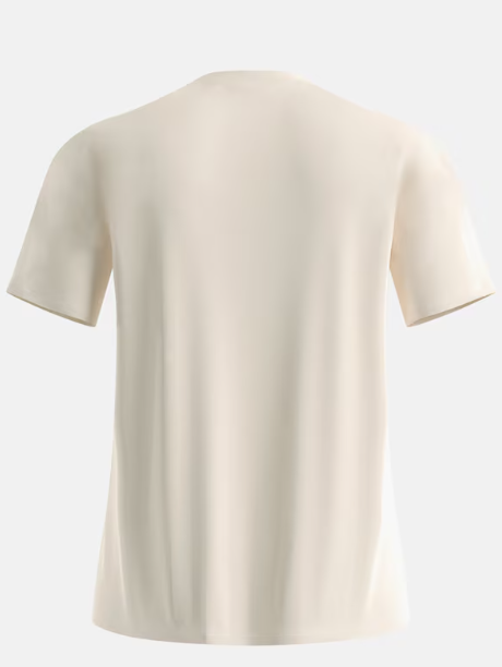 Merino 160 Plain T-shirt Gardenia - Tee Shirt Mc | Odlo