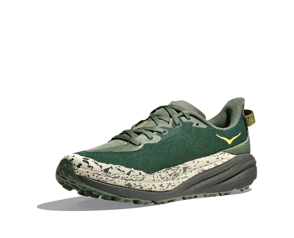 Speedgoat 6 Fern Asphalt Grey - Chaussures | Hoka