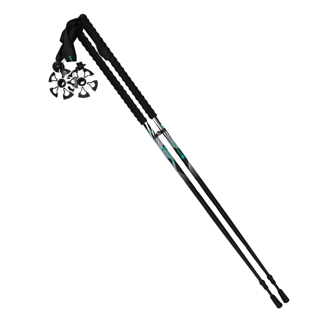 Bâtons Long Ride 2 Noir-Vert (paire) - Batons | Approach Outdoor