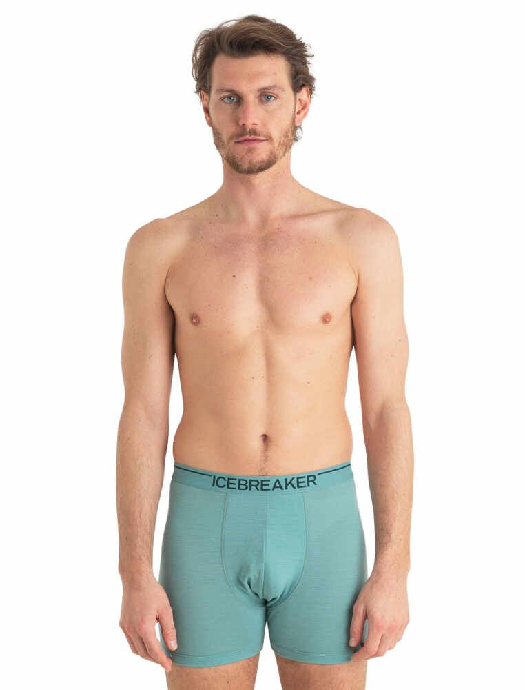 Boxer Anatomica Cloud Ray - Boxer | Icebreaker