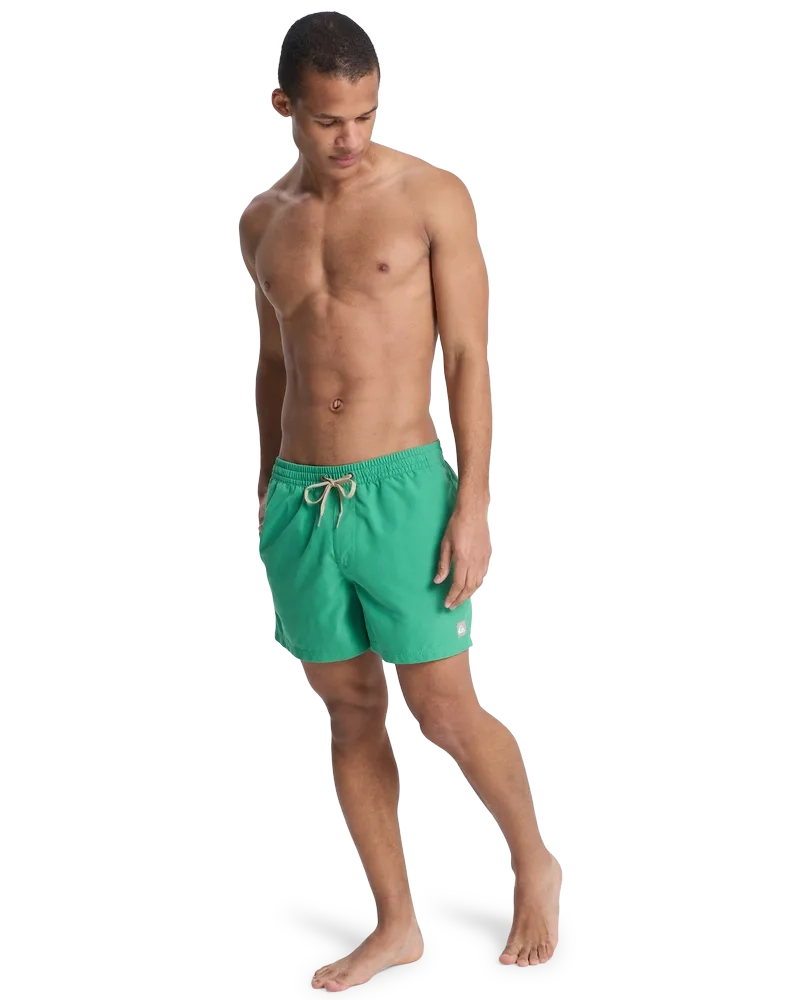 Everiday Volley 15 Leprechaun - Short | Quiksilver