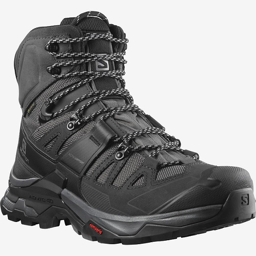 Chaussure Quest 4 Gtx Magnet / Black / Quarry - Chaussures | Salomon
