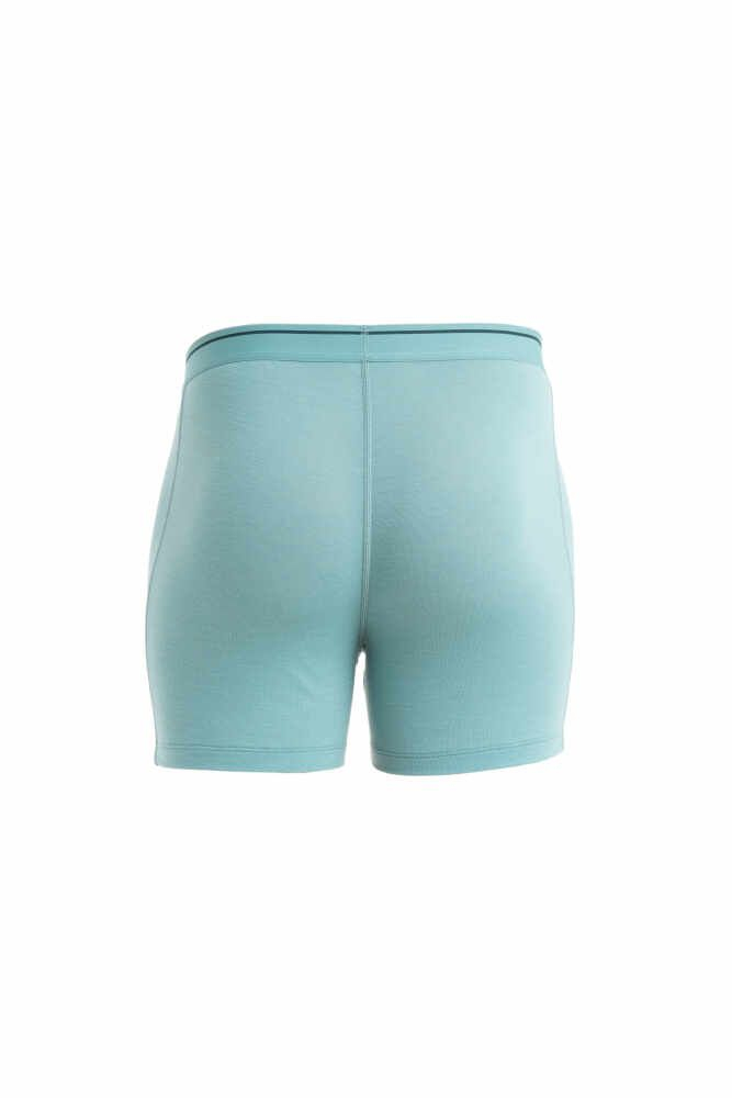 Boxer Anatomica Cloud Ray - Boxer | Icebreaker