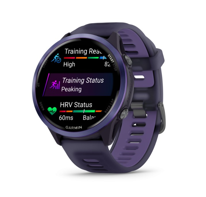 Forerunner 570 47mm Imperial Purple Indigo - Gps | Garmin