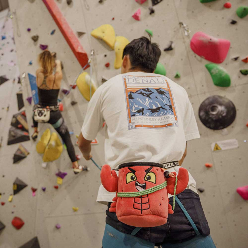 Sac à Magnésie Homard - Sacs A Magnesie | Yy Vertical