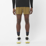Short Sense Aero 5" Brilliant Olive