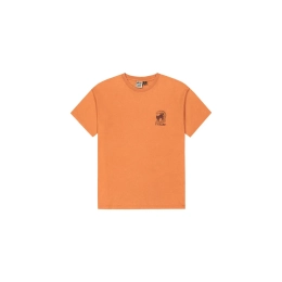 Picturide T-shirt Mango Washed - Tee Shirt Mc
