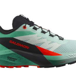 Sense Ride 5 femme Bay/bk - Chaussures | Salomon