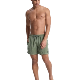 Everiday Surfwash Volley 15 Grape Leaf - Maillot de bain | Quiksilver
