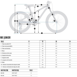 Mx 16 Bluish Grey - Bright Red - Velo | Orbea