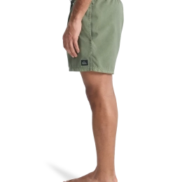 Everiday Surfwash Volley 15 Grape Leaf - Maillot de bain | Quiksilver