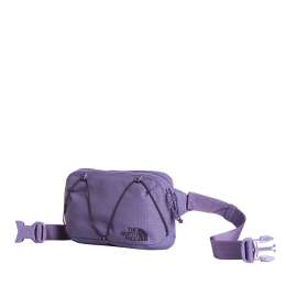 Terra Lumbar 1l Grounded Plum/ Endless - Pochettes | The North Face