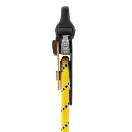 Pro Traxion - Travaux En Hauteur | Petzl