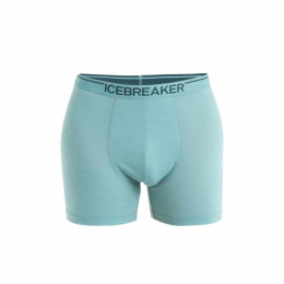 Boxer Anatomica Cloud Ray - Boxer | Icebreaker