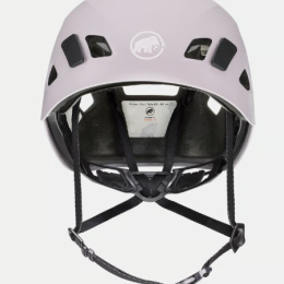 Skywalker 3.0 Alpine Calamint - Casques | Mammut