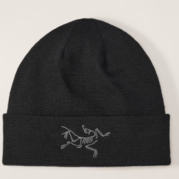 Bonnet Embroidered Bird Toque Black Arcteryx