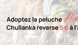 Peluche Alpha - Equipement Outdoor | Chullanka