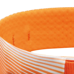 Sitta - Harnais | Petzl