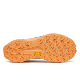 Peregrine 16 Femme Naval Persian - Chaussures | Saucony