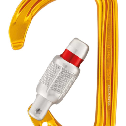 Mousqueton Sm'd Screw-lock - Mousqueton Secu Asym | Petzl