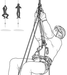 Pantin Droit - Bloqueur | Petzl