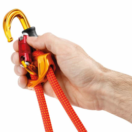Mousqueton Sm'd Twist-lock - Mousqueton Secu Asym | Petzl