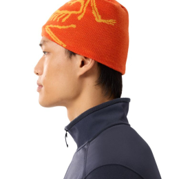 Bonnet Bird Head Solaris Edziza - Bonnet | Arcteryx