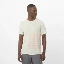 T-shirt Sense Aero Gfx Icicle Neon Flame - Tee Shirt Mc | Salomon