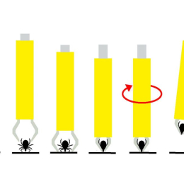 Pince A Tiques - Hygiene | Cao