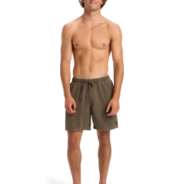 Everiday Surfwash Volley 17 Chocolate Brown - Short | Quiksilver