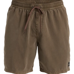 Everiday Surfwash Volley 17 Chocolate Brown - Short | Quiksilver