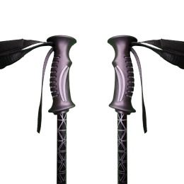 Pur Ride Gris (paire) - Batons | Approach Outdoor