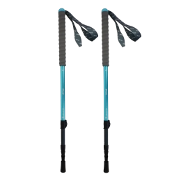 Trek Lights QBS Bleu (Paire) - Bâtons | Azimut Outdoor