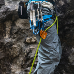 Mammut Assist Belay Resistor - Degaines | Mammut