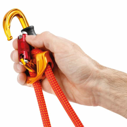 Mousqueton Sm'd Twist-lock - Mousqueton Secu Asym | Petzl