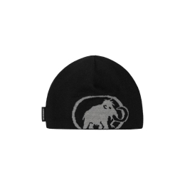 Bonnet Tweak Beanie Black Steel - Bonnet | Mammut