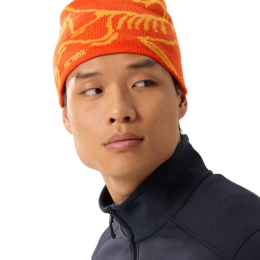 Bonnet Bird Head Solaris Edziza - Bonnet | Arcteryx