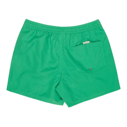 Everiday Volley 15 Leprechaun - Short | Quiksilver