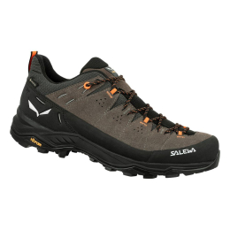 Alps Trainer 2 Gtx Bungee - Chaussures | Salewa