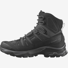 Chaussure Quest 4 Gtx Magnet / Black / Quarry - Chaussures | Salomon