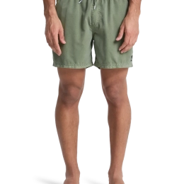 Everiday Surfwash Volley 15 Grape Leaf - Maillot de bain | Quiksilver