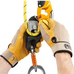 Rig - Descendeur | Petzl