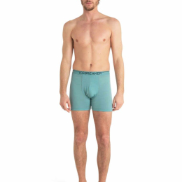 Boxer Anatomica Cloud Ray - Boxer | Icebreaker