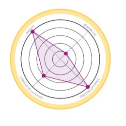 Tc Pro - Chaussons | La Sportiva
