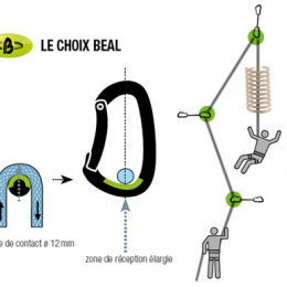 Be Indoor 15cm Lot De 20 - Degaine Pack | Beal