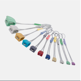 Pack Wallnut Set 1-11 - Equipement Outdoor | Dmm