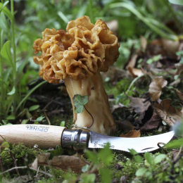 N08 Champignon - Couteau | Opinel