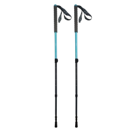 Trek Lights QBS Bleu (Paire) - Bâtons | Azimut Outdoor
