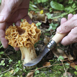 N08 Champignon - Couteau | Opinel