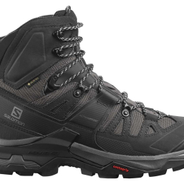 Chaussure Quest 4 Gtx Magnet / Black / Quarry - Chaussures | Salomon